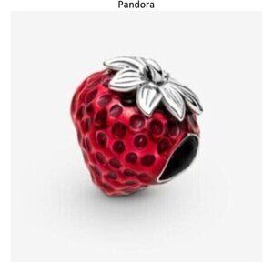 Pandora Seeded Strawberry Fruit Charm